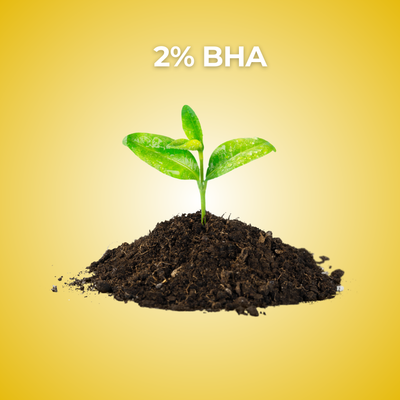 2% BHA (Salicylic Acid)